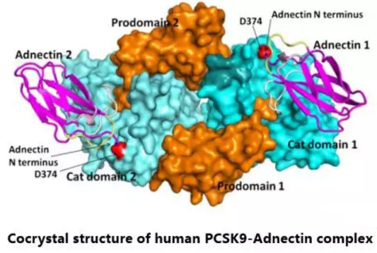 南宫·NG28(China)官方网站-登录入口