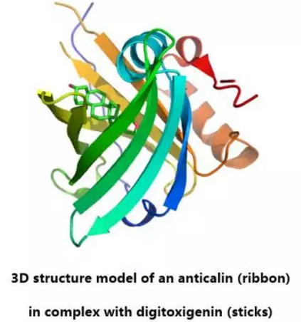 南宫·NG28(China)官方网站-登录入口