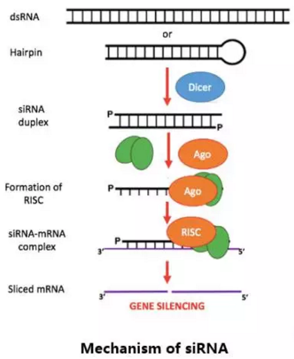 南宫·NG28(China)官方网站-登录入口