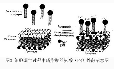 南宫·NG28(China)官方网站-登录入口