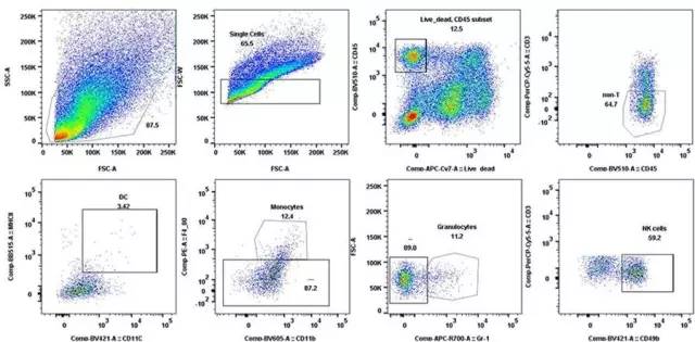 南宫·NG28(China)官方网站-登录入口