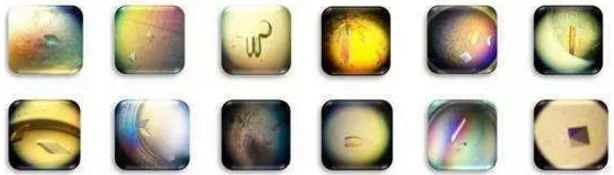 南宫·NG28(China)官方网站-登录入口