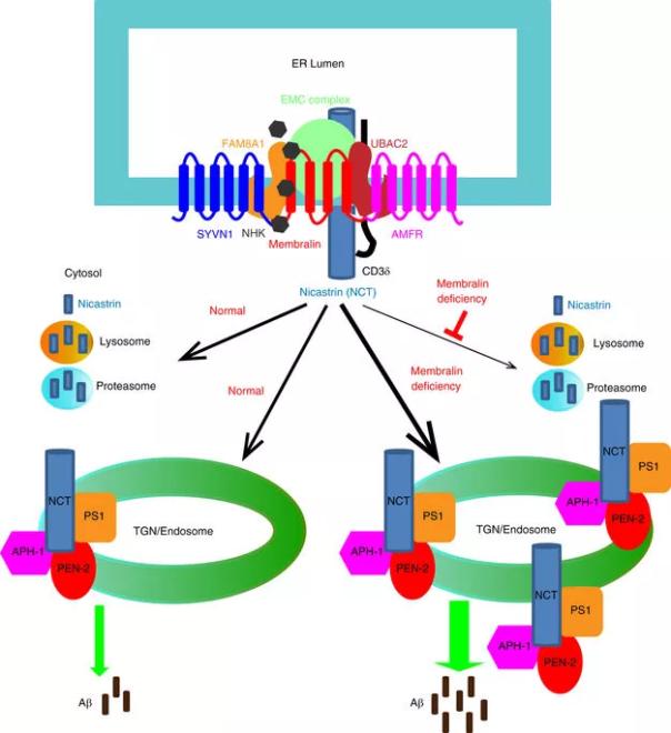 南宫·NG28(China)官方网站-登录入口