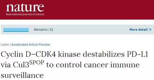 南宫·NG28(China)官方网站-登录入口