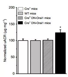 南宫·NG28(China)官方网站-登录入口
