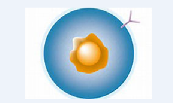 南宫·NG28(China)官方网站-登录入口