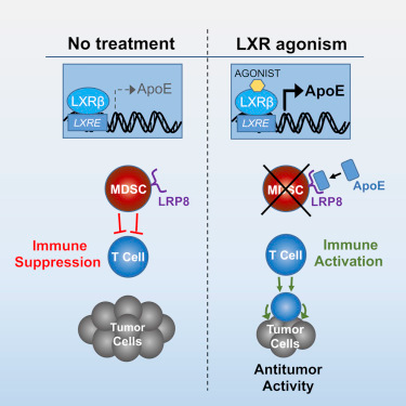 南宫·NG28(China)官方网站-登录入口