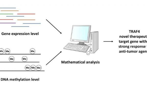 南宫·NG28(China)官方网站-登录入口