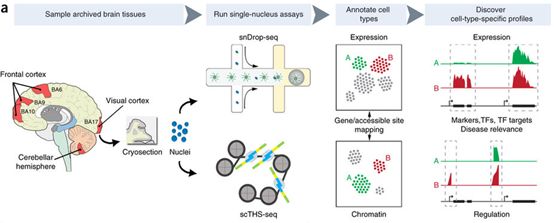 南宫·NG28(China)官方网站-登录入口