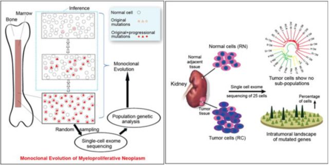南宫·NG28(China)官方网站-登录入口