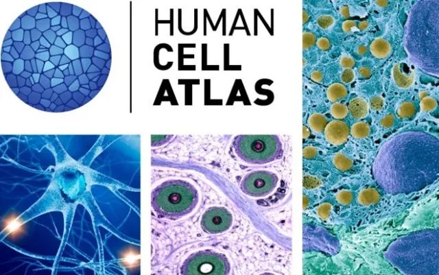 南宫·NG28(China)官方网站-登录入口