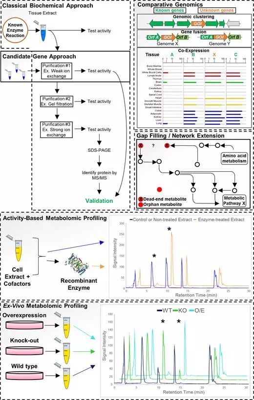 南宫·NG28(China)官方网站-登录入口