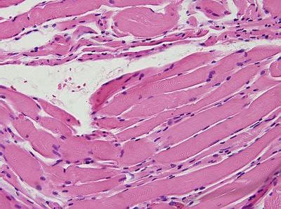 南宫·NG28(China)官方网站-登录入口