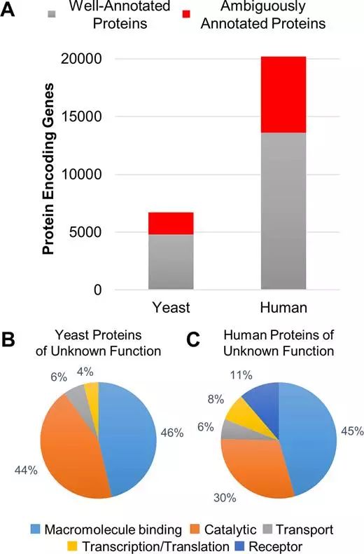 南宫·NG28(China)官方网站-登录入口
