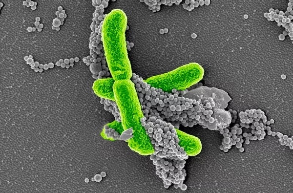 南宫·NG28(China)官方网站-登录入口