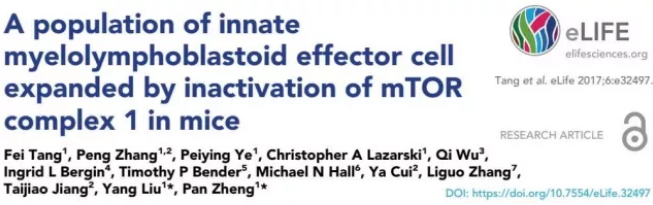 南宫·NG28(China)官方网站-登录入口