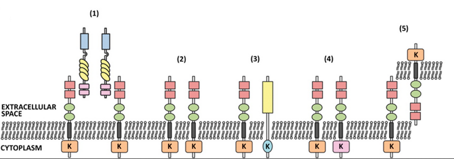 南宫·NG28(China)官方网站-登录入口