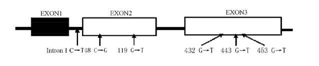 南宫·NG28(China)官方网站-登录入口