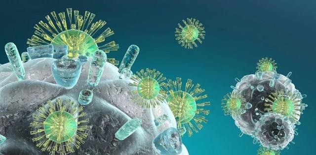 南宫·NG28(China)官方网站-登录入口