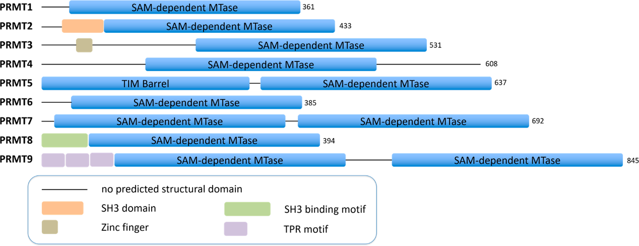 南宫·NG28(China)官方网站-登录入口