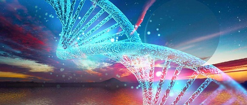 南宫·NG28(China)官方网站-登录入口