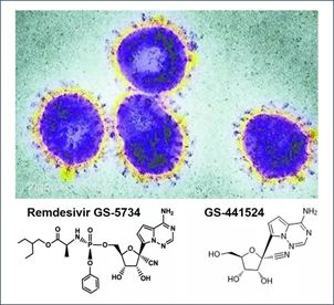 基于细胞因子风暴和免疫炎症反应综合征，许多免疫相关靶点也可以列为冠状病毒的靶点。