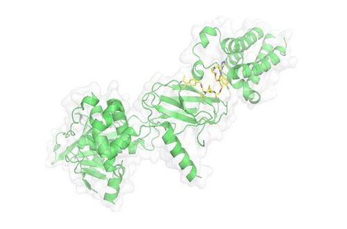 PROTAC手艺，马兴泉