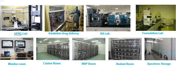 南宫28毒理研究部装备