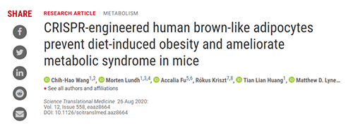 Science|聚焦CRISPR：刷新脂肪细胞，“躺瘦”可能要成真了？