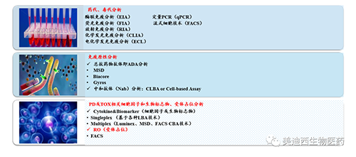 南宫28生物手艺药物剖析部效劳内容
