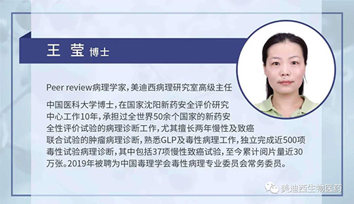 南宫28病理研究部高级主任王莹博士