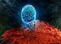 Nature：BATF3改善T细胞影象应答，有望改善免疫疗法的疗效