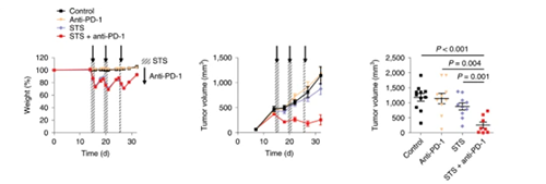 与比照组及仅使用PD-1疗法的模子小鼠比照，接纳短期饥饿配合PD-1疗法的393P细胞同源移植肿瘤小鼠体内的肿瘤体积有了显着的缩短。