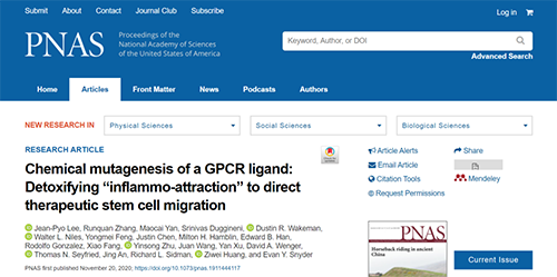 天下首创：药物将干细胞指导至受损部位，提高其愈合能力！