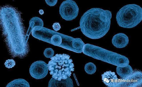 20分钟，大大都细菌都可以繁衍一代 南宫28生物医药