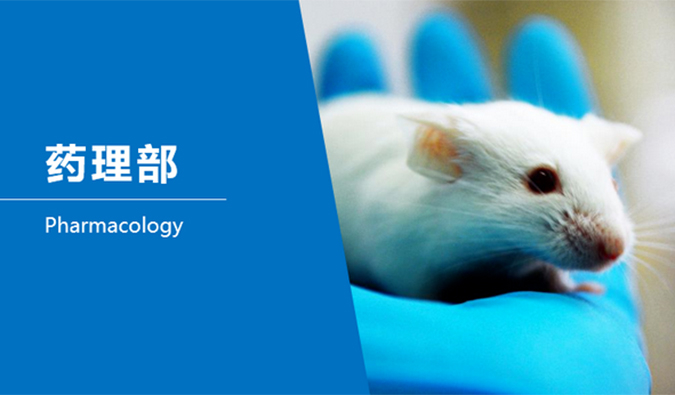 南宫28临床前研究-药理部
