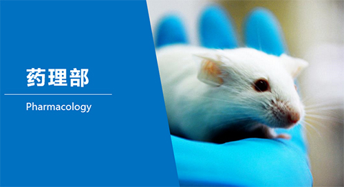 南宫28临床前研究-药理部