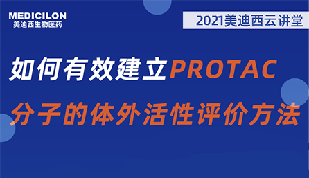【云课堂】：怎样有用建设PROTAC分子的体外活性评价要领？