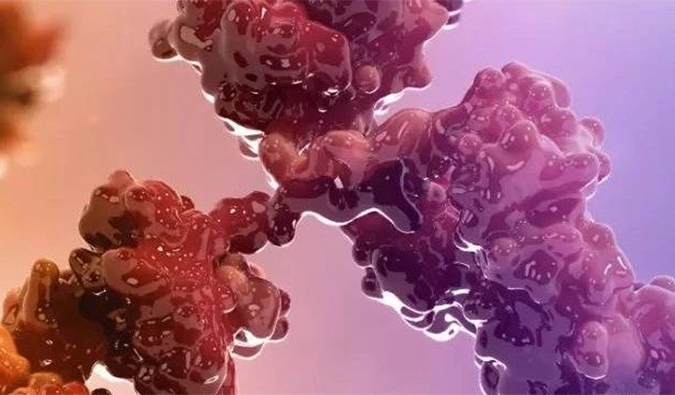 连摘3果！10天内，南宫28助力的3个双特异性抗体治疗性药物获批.jpg