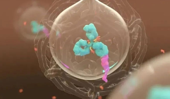 美研 | ADC，为靶向给药而精准深耕