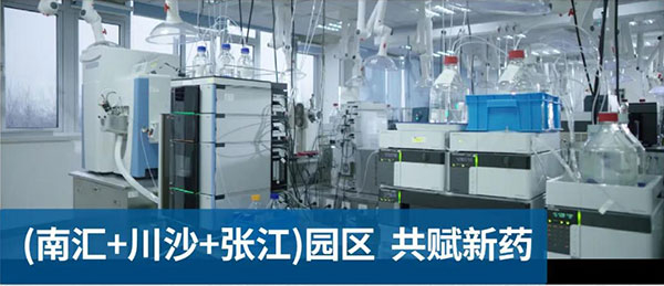 南宫28南汇、川沙和张江园区共赋新药.jpg