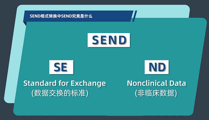 SEND名堂转换中的SEND事实是什么？