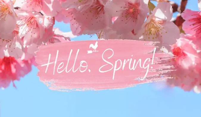 倒计时7天| 南宫28春日礼遇第一波