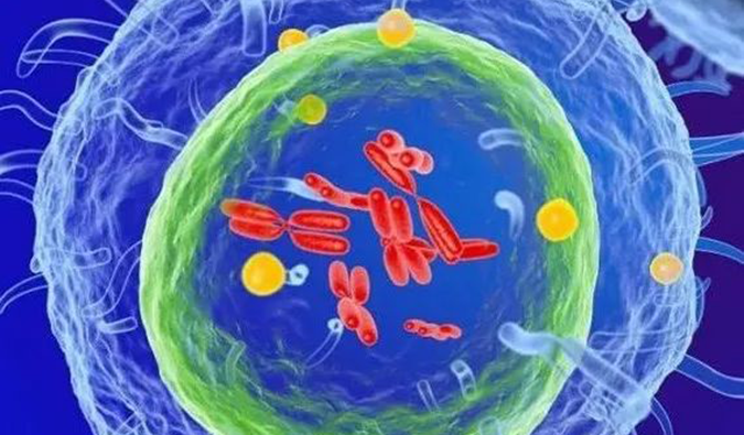  南宫28助力 | 信诺维抗肿瘤1类新药XNW14010获批临床.png