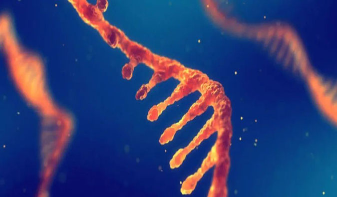 赋能核酸药物疗法，迎接新药研发第三次浪潮