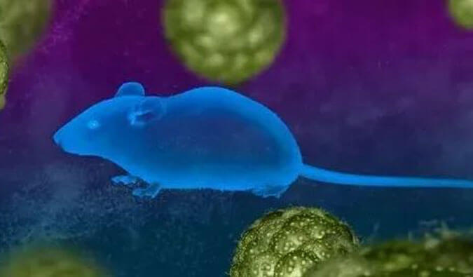 南宫28药效效劳赋能First-in-Class泛素化抑制剂研发