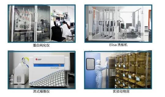 南宫28抗体开发平台.jpg