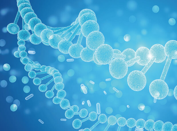 南宫28新分子类型钻研会系列 | 一站式赋能核酸药物和疫苗研发及临床专场