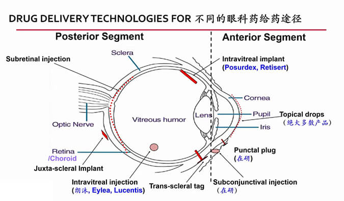 【内附回放+下半场预约】南宫28眼科药物专题钻研会上半场精彩回首