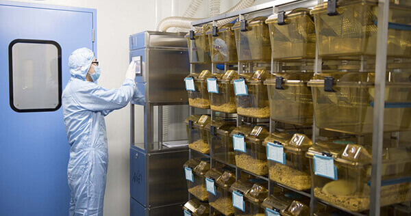 SPF级实验动物房，专业合规的实验治理系统.jpg